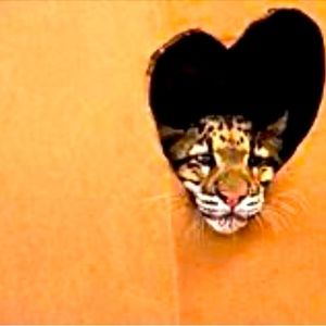 Meet your Posher, Maureen